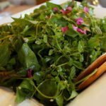 a foraged salad